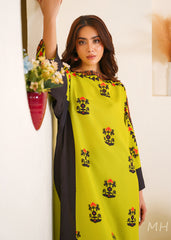 Stylish Stitched 2Pc TABRI COLLECTION